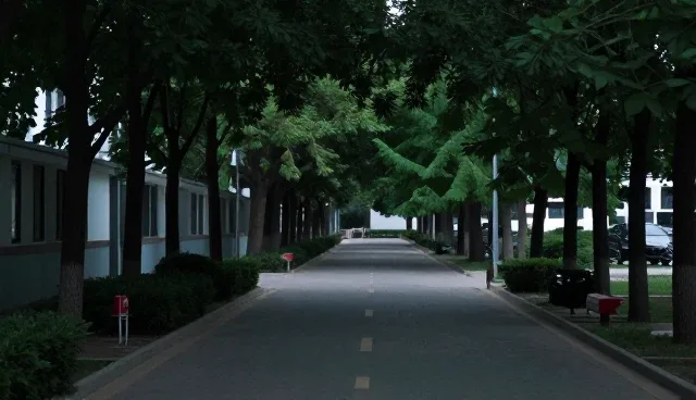 供需信息平台在复杂环境下的性能表现与适用条件分析